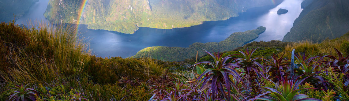 A rainbow hovers over Doubtful Sound in New Zealand. New Zealand, Doubtful Sound, Tourism New Zealand
