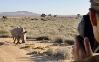 AmaWaterways: Leading the Way in River Cruising