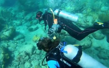 Antigua SCUBA Diving with Mamora Bay Divers