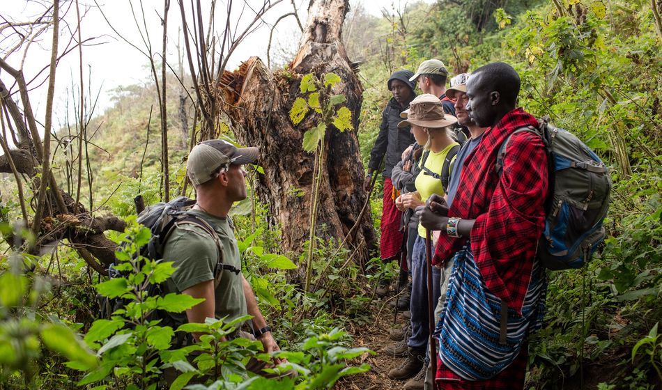 Audley Travel Adds New Offerings in Tanzania, Japan, France and the UK