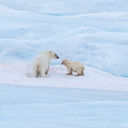 Black Friday Savings: Up to 40% Off All-Inclusive HX Expedition Cruises