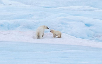 Black Friday Savings: Up to 40% Off All-Inclusive HX Expedition Cruises