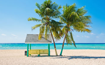 Caribbean beach with palm trees, Grand Cayman, Cayman Islands. (Photo via IreneCorti / iStock / Getty Images Plus)