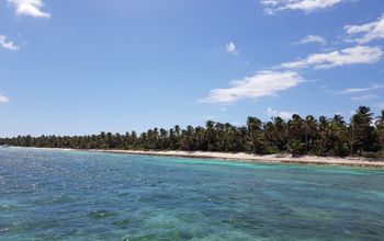 Bavaro coast Dominican Republic