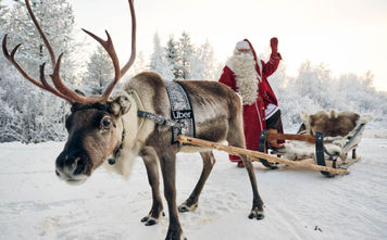 Uber Sleigh, Santa, reindeer, sleigh, Lapland, Finland, Rovaniemi, Apukka Resort