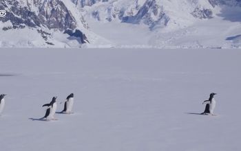 Founder Sven Lindblad - National Geographic-Lindblad Expeditions’