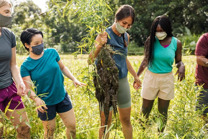Gardening in Hawaii, Malama Hawaii, Responsible travel, eco-friendly travel, Hawaii travel