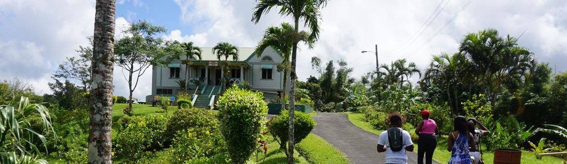 Grenada's Grand Etang National Park, caribbean, island,