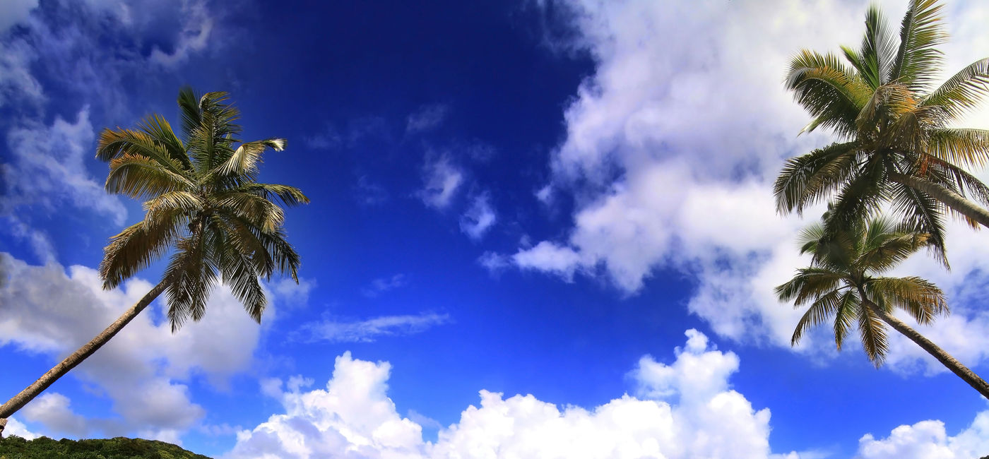 Image: Beautiful beach in Dominica (photo via gydyt0jas / iStock / Getty Images Plus)
