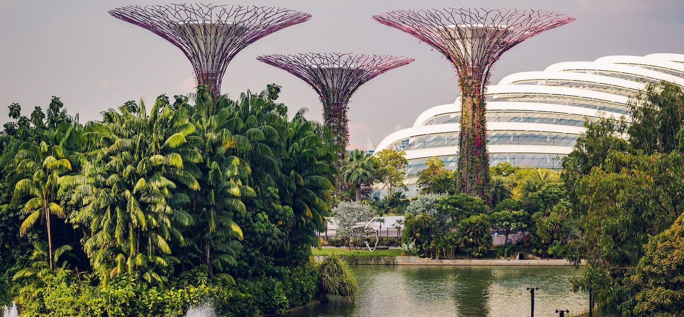 Image: Gardens by the Bay, Singapore. (photo via Unsplash/Daniel Welsh)