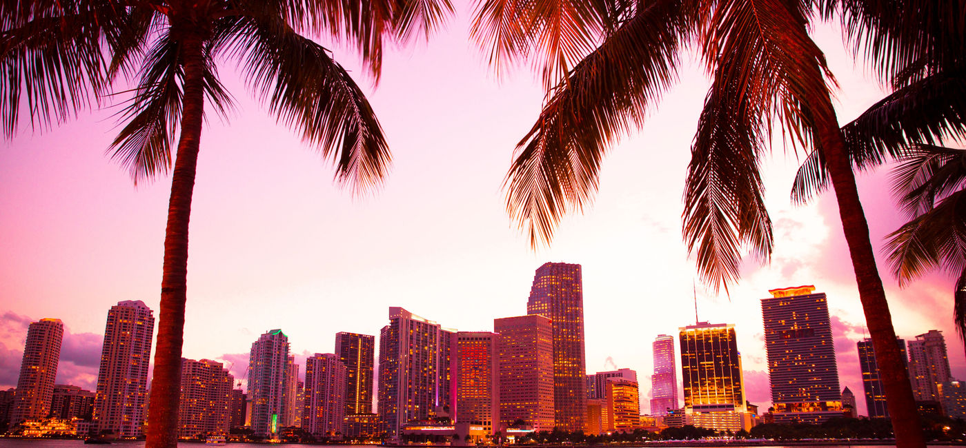 Image: PHOTO: Miami, Florida skyline and bay at sunset seen through palm trees. (photo via littleny / iStock / Getty Images Plus)
