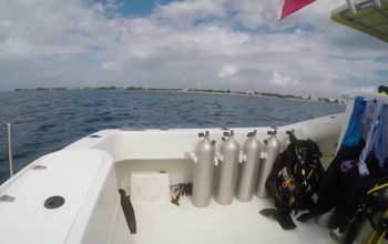 Immerse Yourself in the Cayman Islands