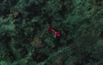 Make Your Business Dreams Reality