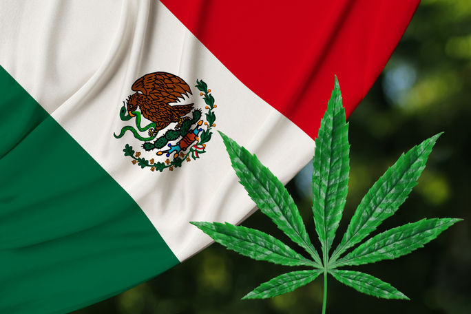 Mexico Weed Mexico Weed, Mexico flag marijuana,