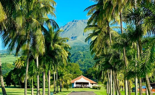 Montagne Pelée, Martinique