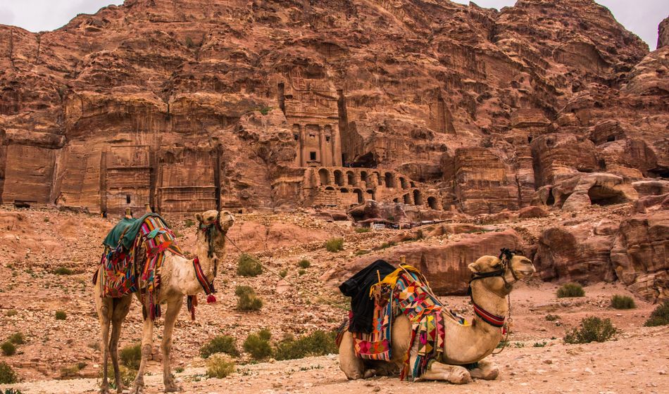 Camels, archaeological site, Petra, Jordan, Middle East