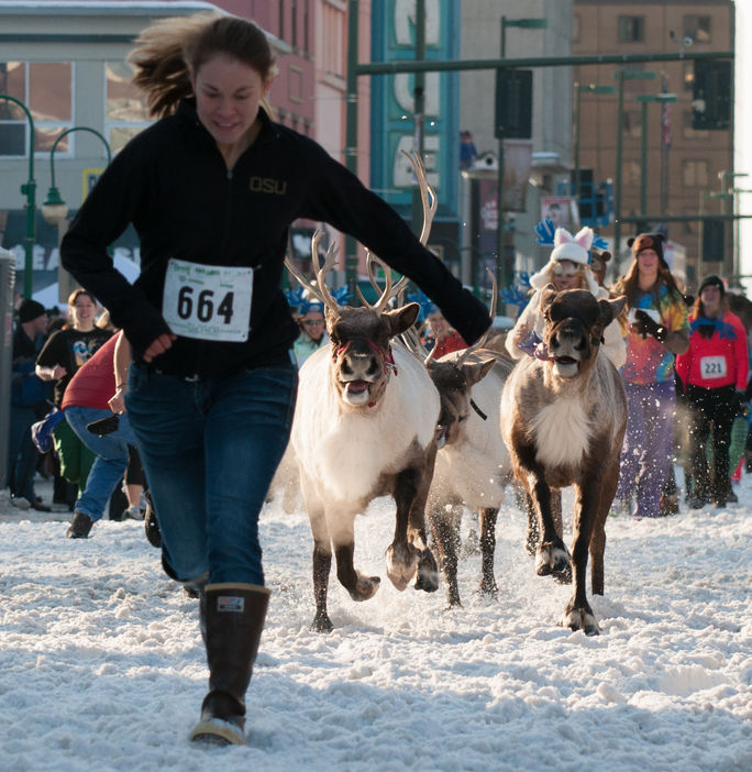 Running of the Reindeer Reindeer, Fur Rondy, Anchorage