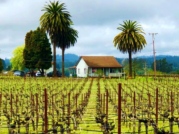 Sonoma Wine Country Sonoma Wine Country