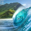 Takeoff to Hawaii with Classic Vacations®