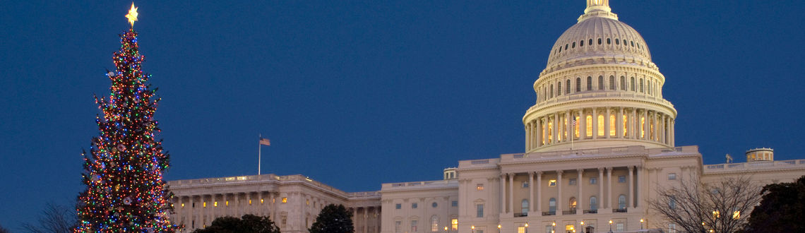 Christmas, holidays, tree, National Mall, Capitol Building, Washington DC