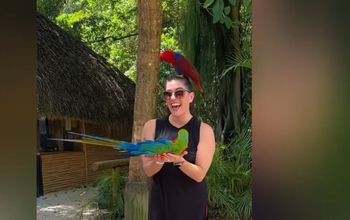 Winner of the #DRwithNTG Video Contest: Jessica Gray